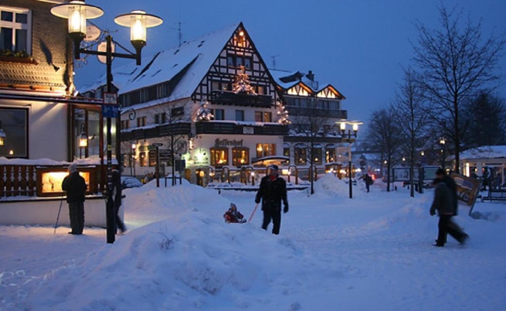 Welcome In - Apartments Am Waltenberg 57-59 Winterberg Zewnętrze zdjęcie